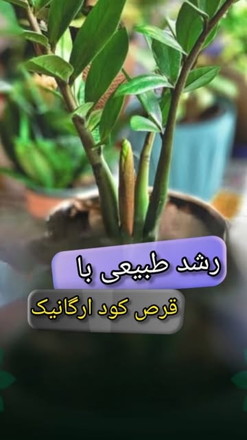 قرص کود گیاهی